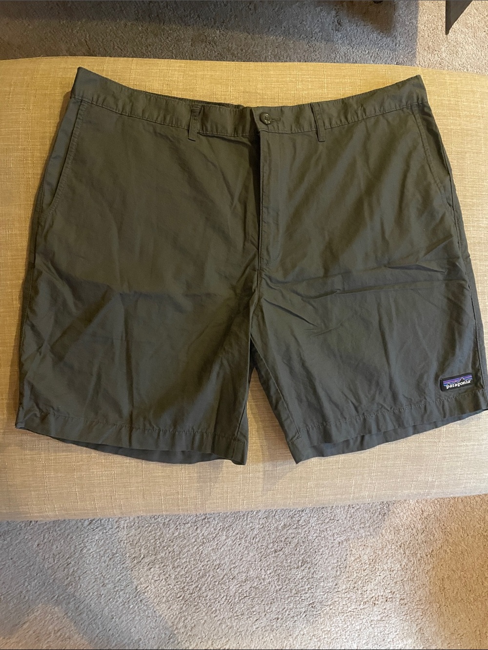 Patagonia Men's Olive Shorts with Subtle Logo